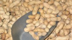 Los cacahuetes pueden producir reacciones alérgicas graves.