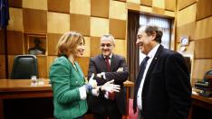 Pleno del Ayuntamiento de Zaragoza sobre la Romareda, octubre 2019.