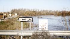 La crecida del Ebro ya ha alcanzado la localidad de Novillas (Zaragoza).