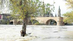 El Ebro a su paso por Zaragoza este domingo, a 850 metros cúbicos por segundo.