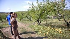 Dos vecinos de Moros, Fina Martínez y Víctor Casado, observan una de sus fincas de melocotones.