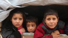 Niños sirios desplazados son transportados en una camioneta el pasado 3 de enero tras escapar de la violencia en la ciudad de Maarat-al-Numan.