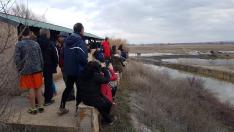 Un grupo de personas observan las grullas de la laguna del Cañizar.