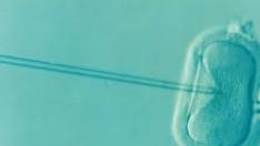 En Aragón, en 2017, se comenzaron 3.811 ciclos de reproducción asistida.