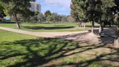 El Parque Tío Jorge vuelve a la normalidad tras la Cincomarzada