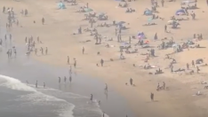 Playas de Estados Unidos repletas de gente a pesar del coronavirus.