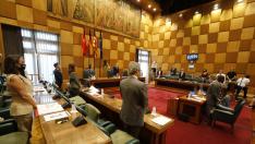 Pleno Ayuntamiento de Zaragoza.