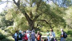 Monitor y un grupo de visitantes durante una ruta de ecoturismo en la Hoya de Huesca.