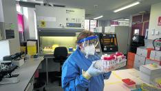 Personal del Hospital Miguel Servet analiza las pruebas de coronavirus