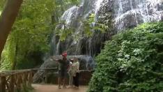 El parque zaragozano solo permite visitas los fines de semana durante el mes de junio