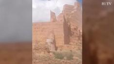 Las cabras montesas 'conquistan' el castillo de Monreal de Ariza.