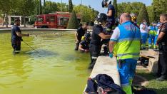 Bomberos de Móstoles y personal del SUMMA 112 en la fuente ornamental donde ha fallecido un joven de 16 años ahogado.