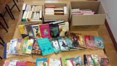 Parte de los libros recogidos en la primera jornada.