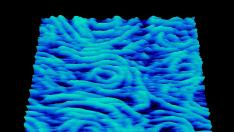 'DNA Sea', elegida imagen del mes de agosto en la Pinacoteca de la Ciencia de la Sociedad Española de Bioquímica y Biología Molecular