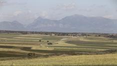 Campos de cereal en la Hoya de Huesca entre Albero Alto y Novales /Foto Rafael Gobantes / 7-5-14 [[[HA ARCHIVO]]]