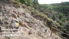 El yacimiento paleontológico de Murero y su relevancia mundial