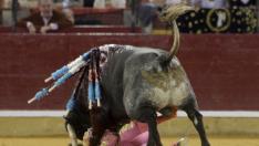 PRIMERA CORRIDA DE TOROS /7/10/11/ CARLOS MONCIN / [[[HA ARCHIVO]]]