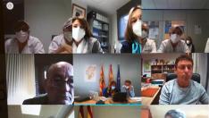 Videoconferencia de los responsables de Sanidad de comarcas de las zonas orientales de Huesca