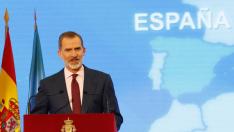 Rey Felipe VI