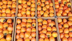 Los caquis, fruta de temporada de noviembre.
