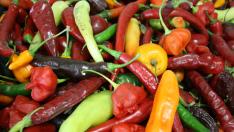 Pimientos