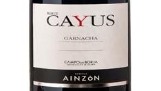 Flor de Cayus, de Bodegas Ainzón.