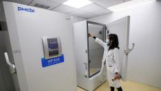 La vacuna se almacenará en contenedores refrigerados especiales, como estos, instalados en el Hospital Clínico Lozano Blesa.
