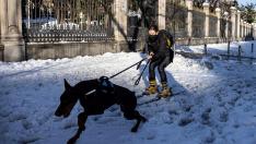 Nieve en el centro de Madrid