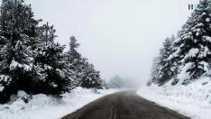 Con las carreteras de todo Aragón afectadas por la nieve y el hielo, te contamos qué precauciones debes tener al volante si no te queda más remedio que coger el coche.