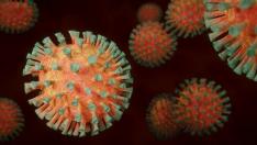Un virus muta o se modifica. Coronavirus. Recurso