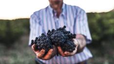 Las manos de un viticultor ofreciendo sus uvas reflejan el carácter solidario de la bodega.