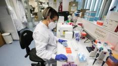 Fotos del laboratorio satélite del CIBA en Zaragoza donde se rastrea la cepa británica del coronavirus.