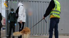 Un agente de la Guardia Civil, con el perro detector de drogas, ante uno de los institutos donde se realizó el operativo especial. .