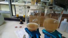 Análisis de muestras recogidas en Ordesa durante uno de los episodios de polvo sahariano.