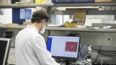 Gómez-Arrue, con los resultados de las PCR analizadas