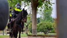 La Unidad de Caballería de la Policía de Zaragoza por el Parque Grande José Antonio Labordeta.