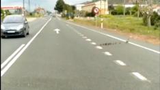 La familia de patos, cruzando la N-232
