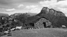 El paisaje del Pirineo aragonés es protagonista destacado en 'Armugán'.