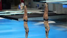 FINA Diving World Cup (37796733)