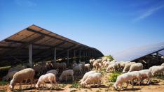 Planta fotovoltaica de Iberdrola en Teruel