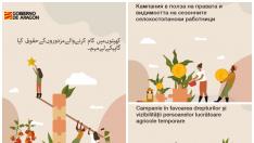 Carteles en urdu, búlgaro y rumano que reflejan el derecho de los temporeros a los servicios públicos y a una vivienda digna, y su contribución social.