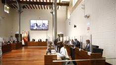 El primer pleno presencial de la DPZ, 14 meses después