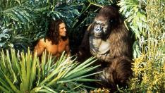 William Lara en 'Tarzan: The Epic Adventures'