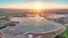 Las cinco plantas solares de BP ocupan 650 hectáreas en el término municipal de Almochuel.