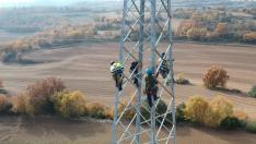 Operarios de Endesa trabajando en la mejora de la red.