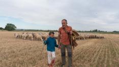Roberto Lorente y su hija, con sus ovejas en un campo junto al río Alagón