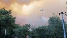 Turquía declara el Estado de Desastre en las regiones devoradas por los incendios forestales