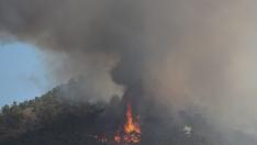 Los incendios en Turquía han destruido grandes extensiones agrícolas, viviendas y granjas.