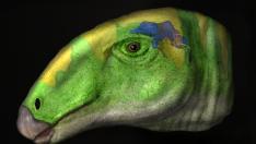 Recreación del Proa valdearinnoensis, un dinosaurio vegetariano descubierto en Ariño.