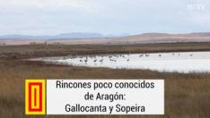Rincones poco conocidos de Aragón: qué ver en Gallocanta y Sopeira